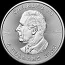 1 troy ounce Maple Leaf zilver 2