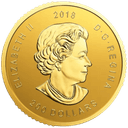 Gouden Canadian eagle munt 1 troy ounce 2