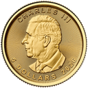 Gouden Maple Leaf munt 1/10 troy ounce 2
