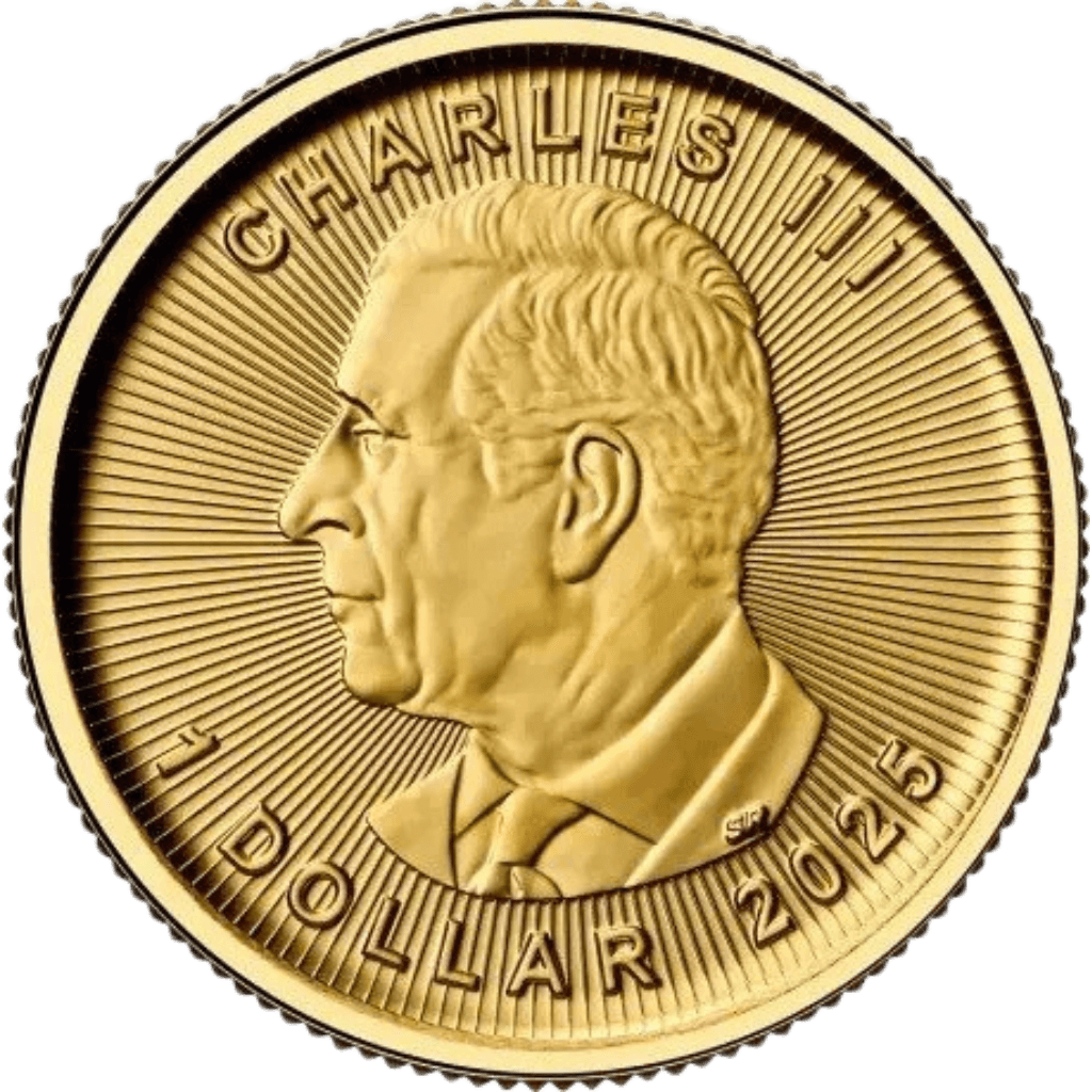 Gouden Maple Leaf munt 1/10 troy ounce