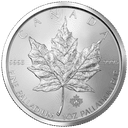Palladium Maple Leaf munt 1 troy ounce 1