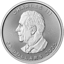 Platina Maple Leaf munt 1 troy ounce 2