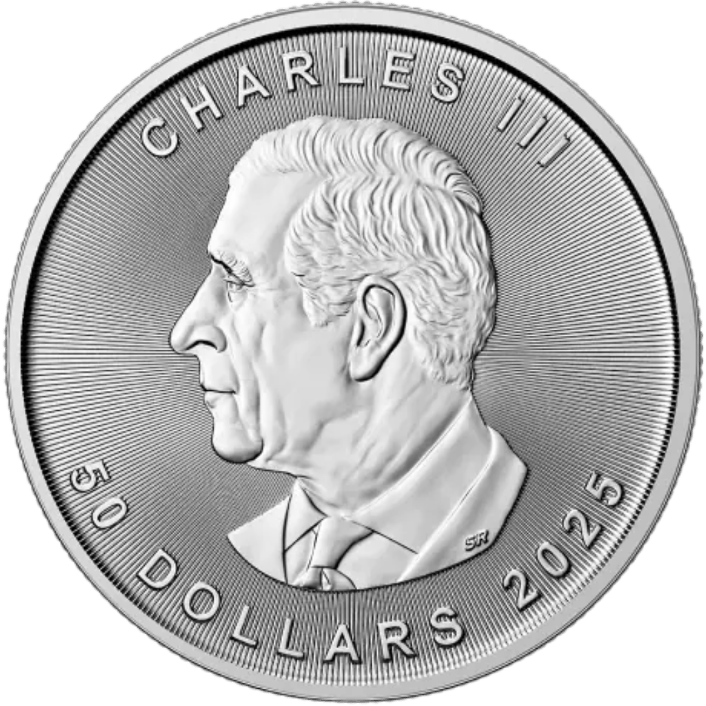 Platina Maple Leaf munt 1 troy ounce