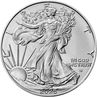 Zilveren American Eagle munt 1 troy ounce