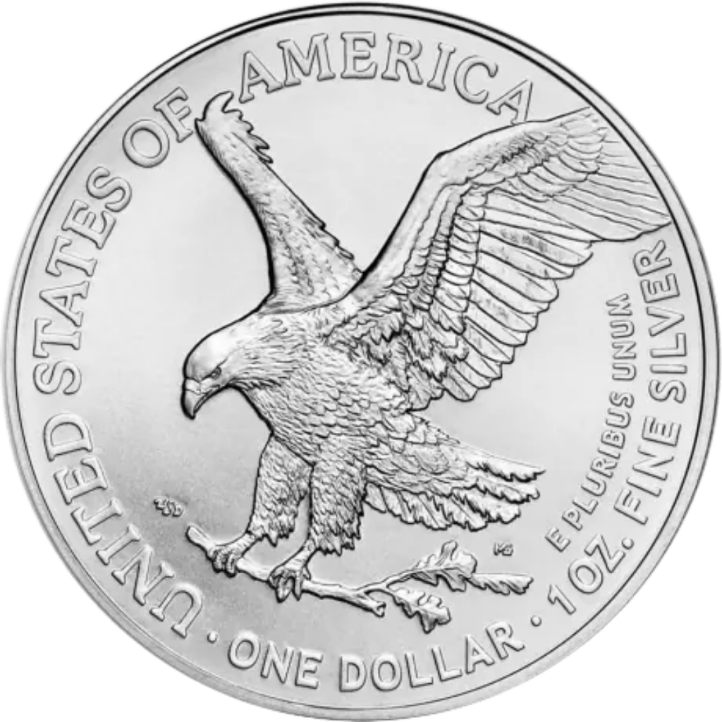 Zilveren American Eagle munt 1 troy ounce