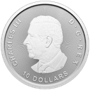 Zilveren Canada Goose munt 2 troy ounce 2