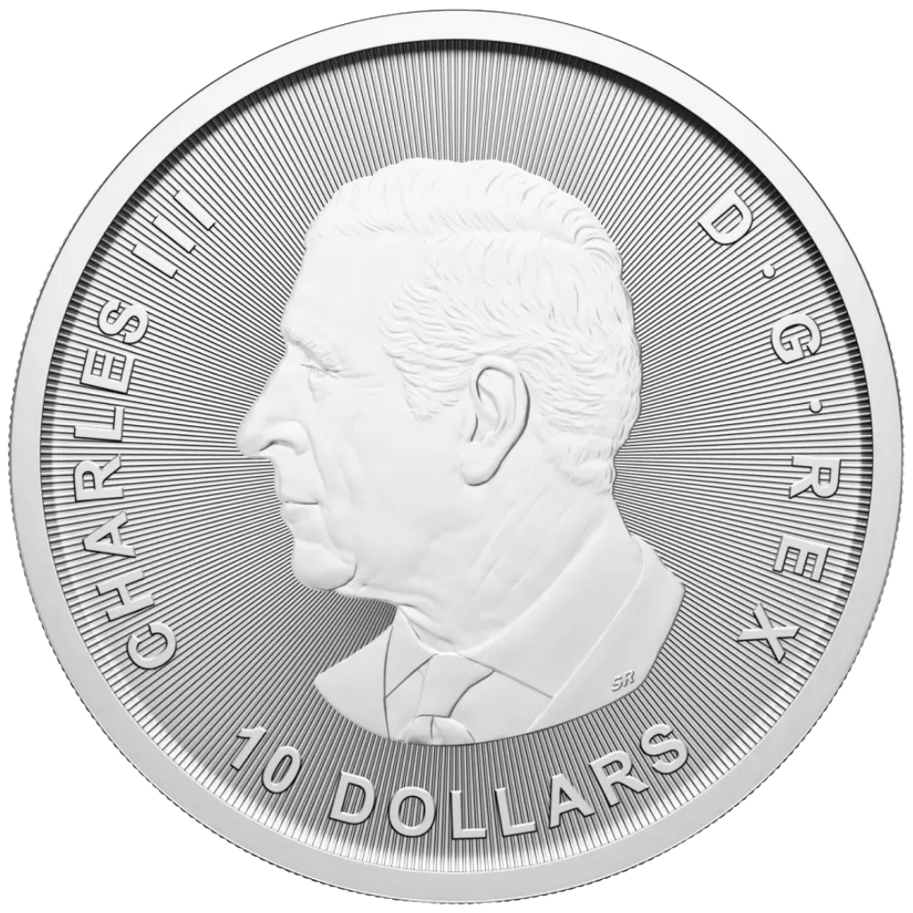 Zilveren Canada Goose munt 2 troy ounce