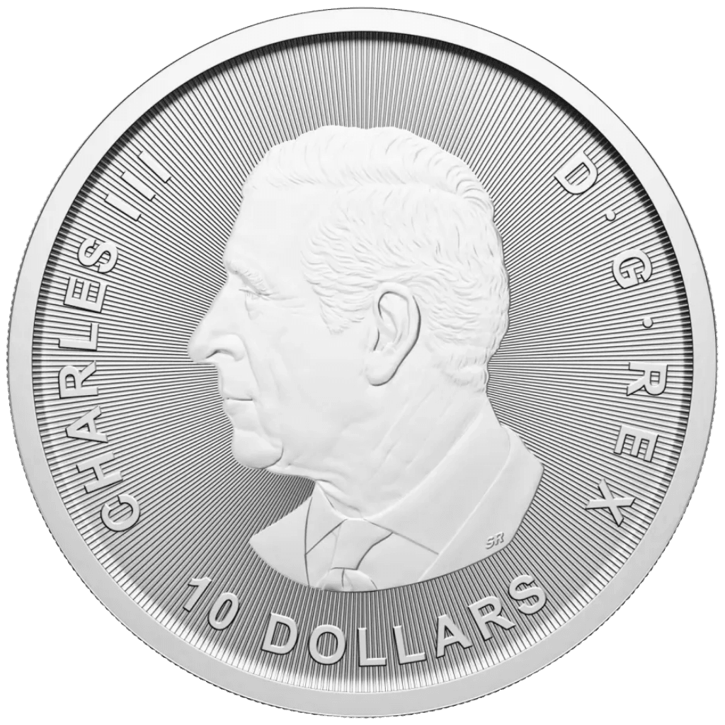 Zilveren Canada Goose munt 2 troy ounce