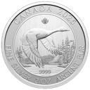 Zilveren Canada Goose munt 2 troy ounce 1