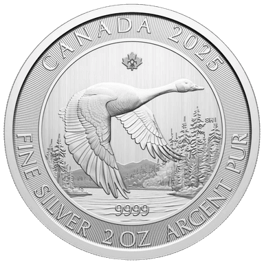Zilveren Canada Goose munt 2 troy ounce