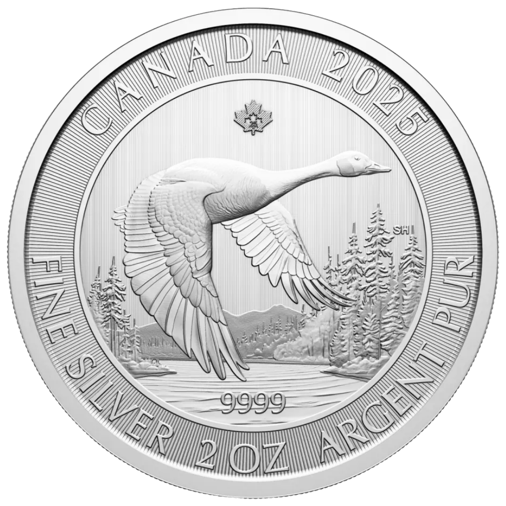 Zilveren Canada Goose munt 2 troy ounce