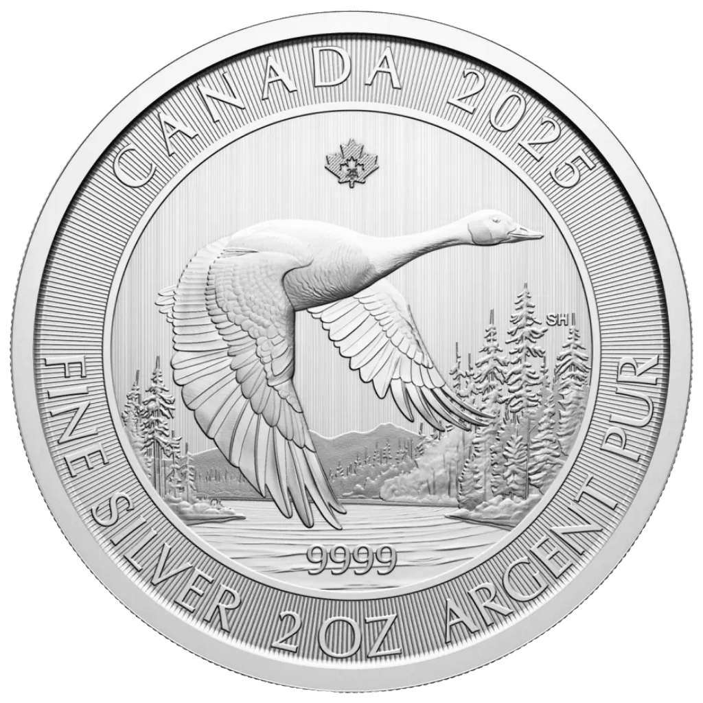 Zilveren Canada Goose munt 2 troy ounce