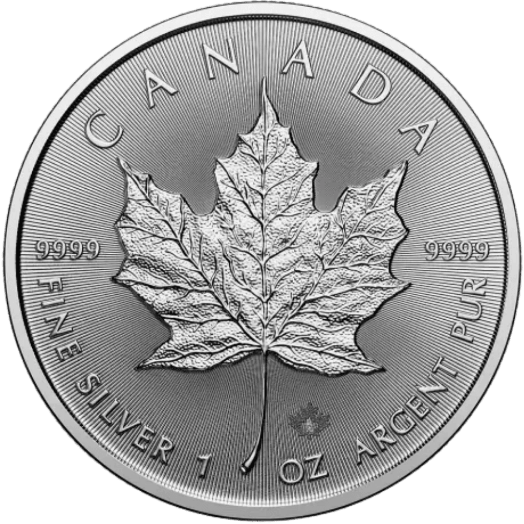 Monsterbox zilveren Maple Leaf munt 1 troy ounce
