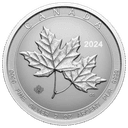 Zilveren Maple Leaf twin munt 2 troy ounce 1
