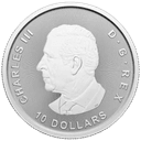 Zilveren Maple Leaf twin munt 2 troy ounce 2