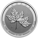 Zilveren Maple Leaf twin munt 2 troy ounce 3