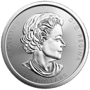 Zilveren Maple Leaf twin munt 2 troy ounce 4