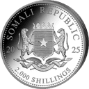 Zilveren Somalische Luipaard munt 1 kilo 2