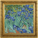 Zilveren Vincent van Gogh Irises munt 1 troy ounce 1