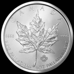 Palladium Maple Leaf munt 1 troy ounce