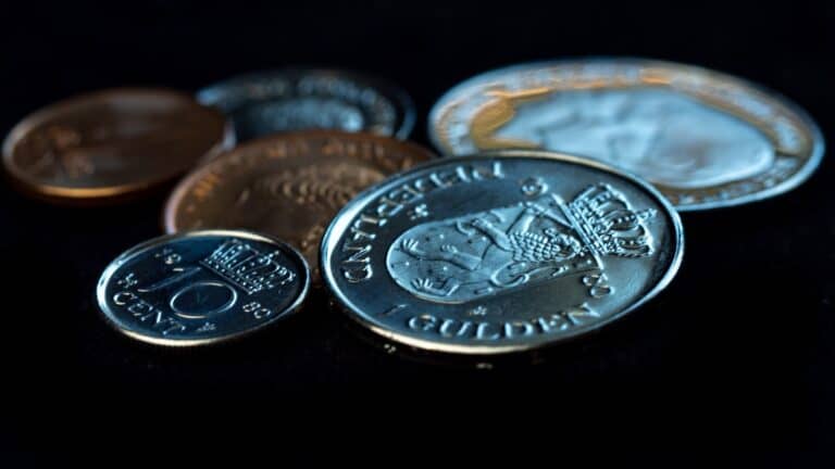 De Nederlandse muntwet uitgelegd